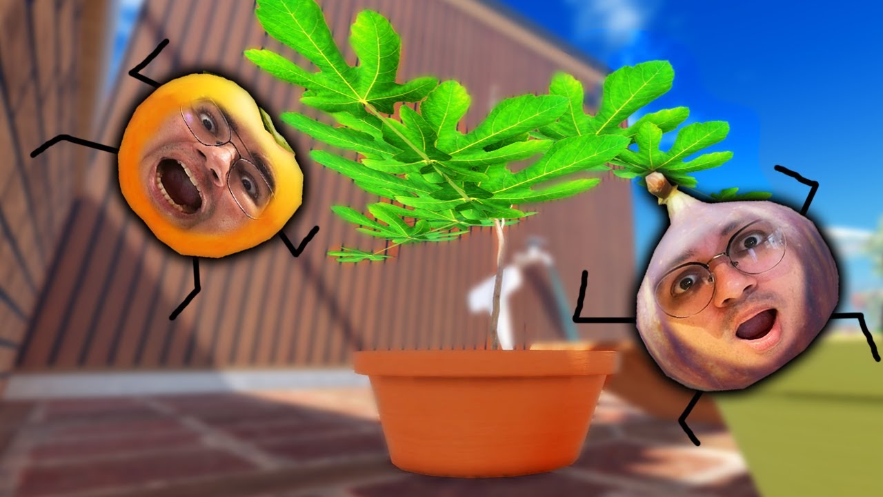 PLANTAMOS SEMENTES MISTERIOSAS E NASCERAM ALIMENTOS SUPER DIFERENTES!