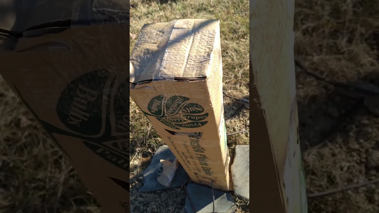 How To Prepare The Backyard Orchard For The Worst Winter Weather In Years!