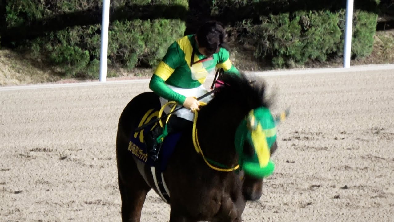 【JBCクラシック2024】感極まる川田将雅 地元の佐賀GⅠを勝ち  観客へヘルメットを取って一礼ウィルソンテソーロも一緒にお辞儀   現地映像