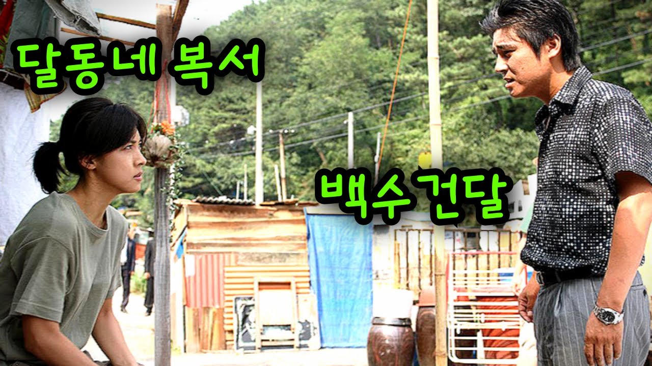 철거하러 달동네로 향한 양아치가 존예 여복서를 만나면 벌어지는 일..!!【영화리뷰/결말포함】