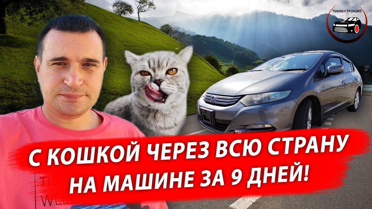 Перегон-переезд с кошкой на машине Honda Insight  9 000 километров до Краснодара