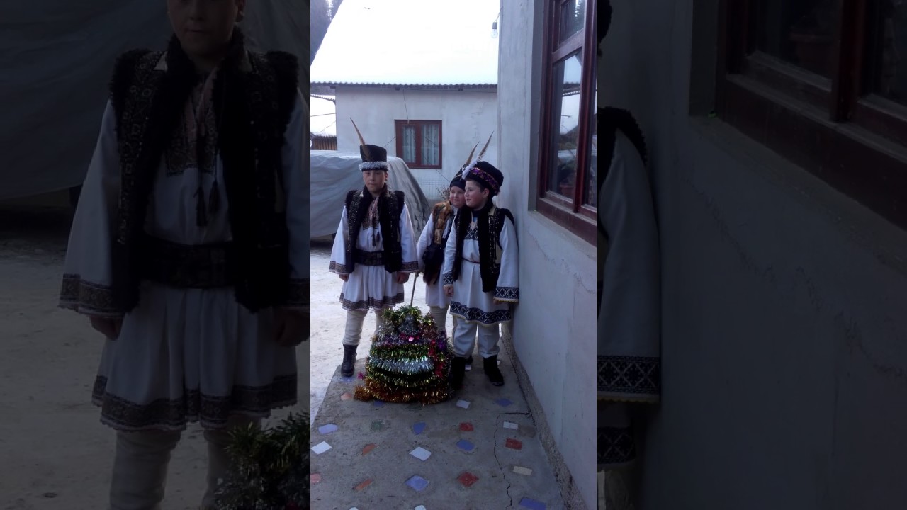 Bisericuta ostra