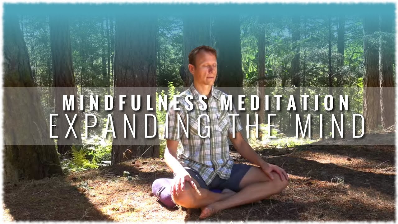 Mindfulness Meditation w/ David Procyshyn: A Guided Meditation on Expanding the Mind