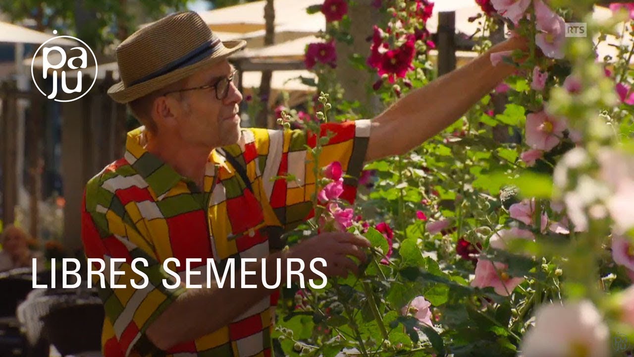 Ils fleurissent le béton des villes en semant des graines