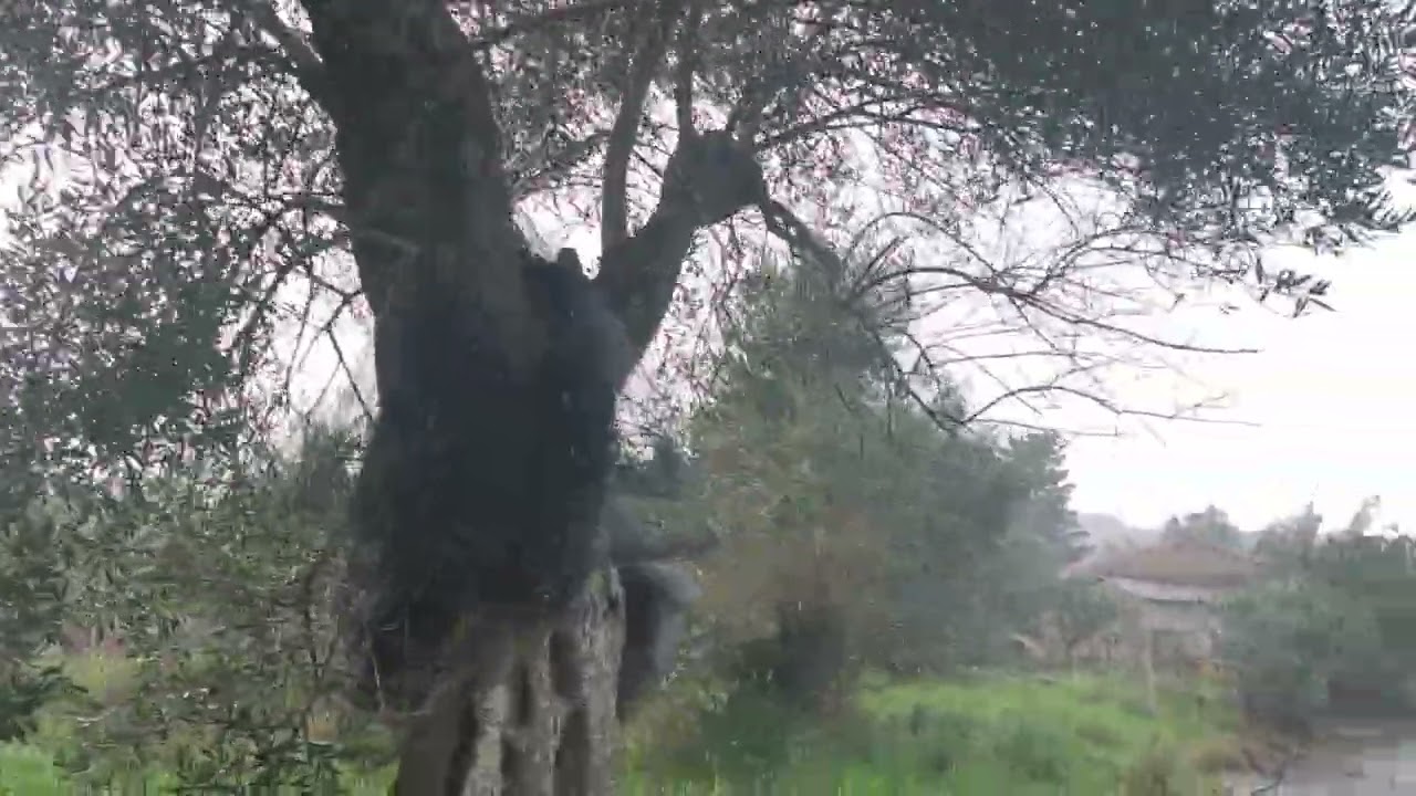 Jižní část Korfu (aby si někdo nemyslel že je Korfu na jihu Řecka 😂) v bouřkách k 15.2 26 Perivoli