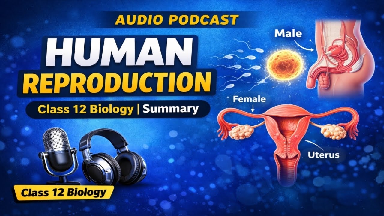Human Reproduction audio summary। Podcast। class 12 
