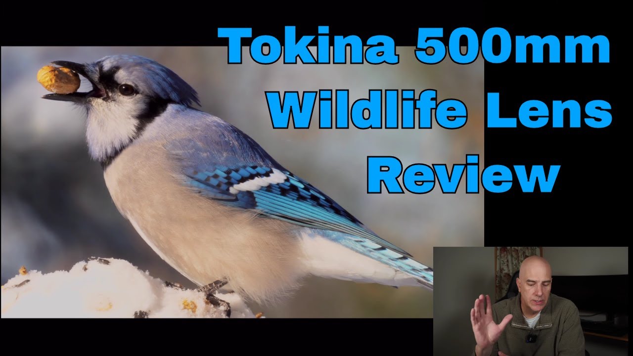Tokina 500mm Mirror lens Review