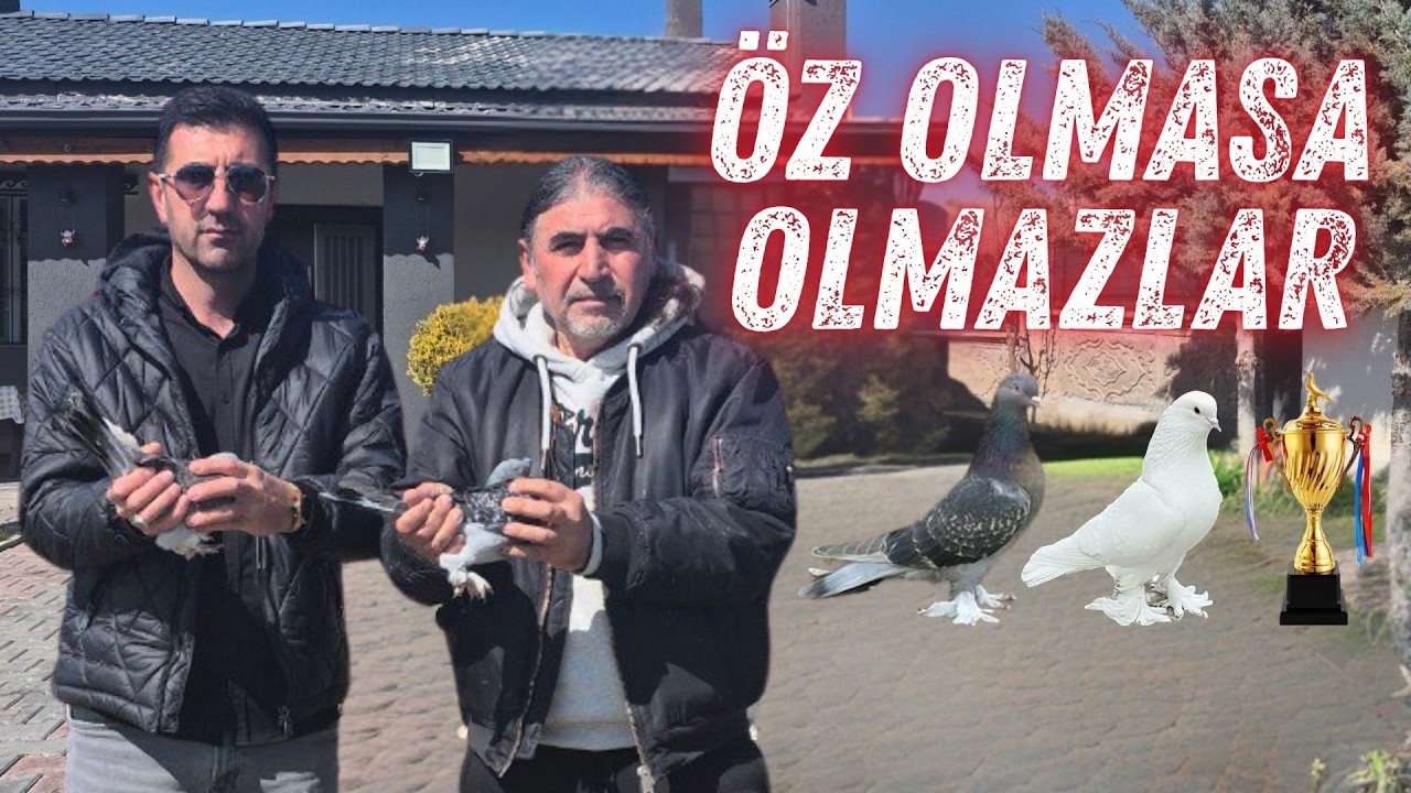 Şampiyon Kümes Ömer NL Olmasa Olmazların Dibinin Dibi
