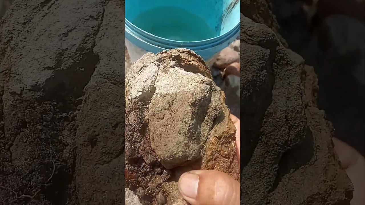 Characteristics of stones containing gold #goldrock