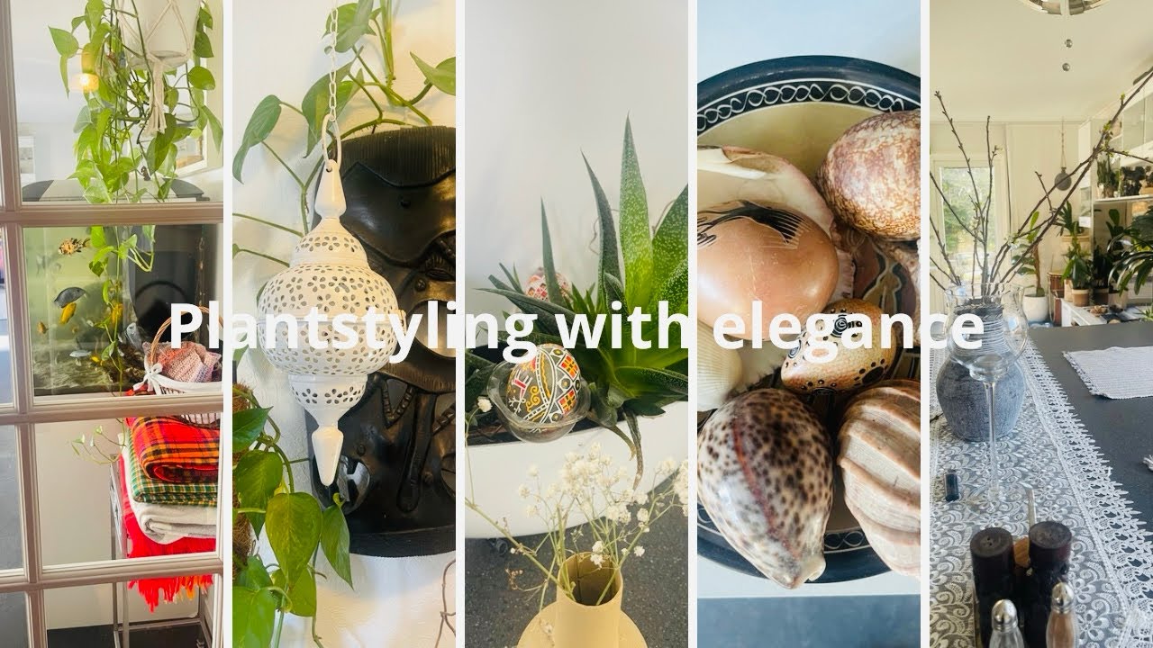 How I Style My Indoor Plants 🌿 Cozy Plant Tour / Decor Reset / Soapstones / Sea Shells 