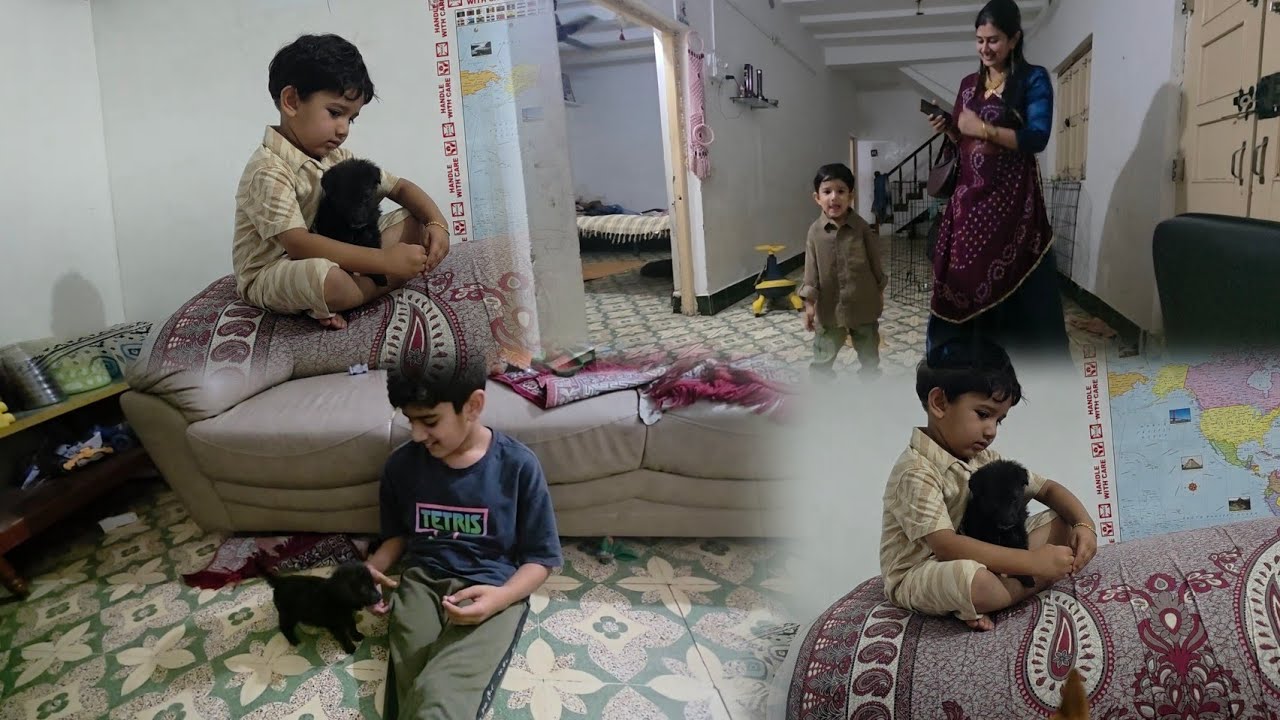 OMSHIV pase Tommy 1st time gyo ☺️❤️ vadiye gya 