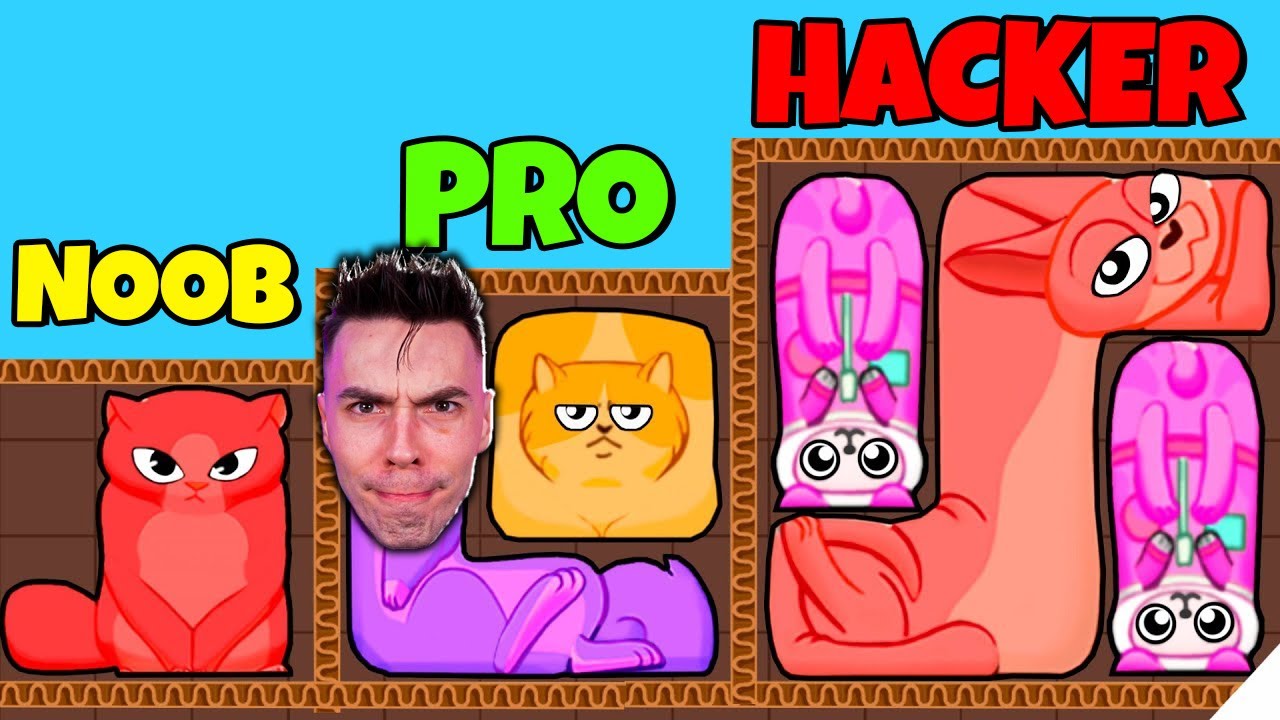 NOOB vs PRO vs HACKER w UKŁADANIE KOCICH PUZZLI (Puzzle Cats)