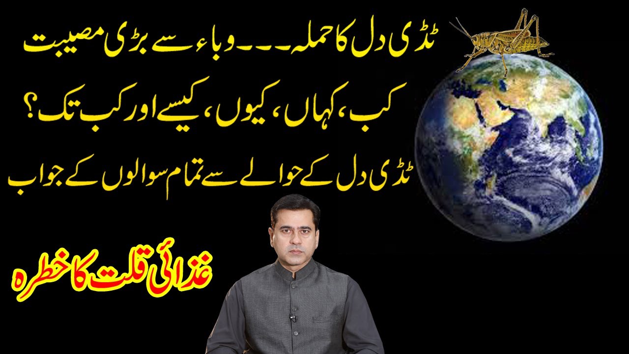 Locust in Pakistan | Explained by Imran Khan