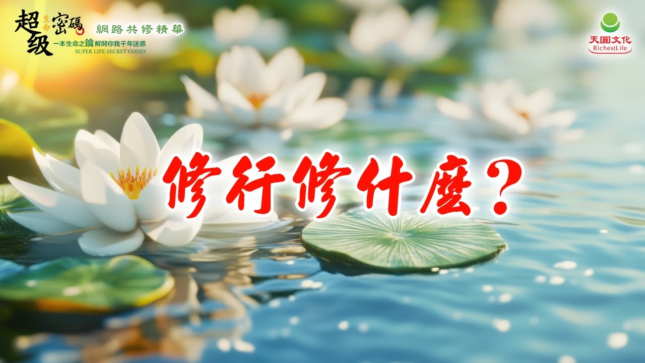 修行修什麼？｜太陽盛德導師–超級生命密碼網路共修精華