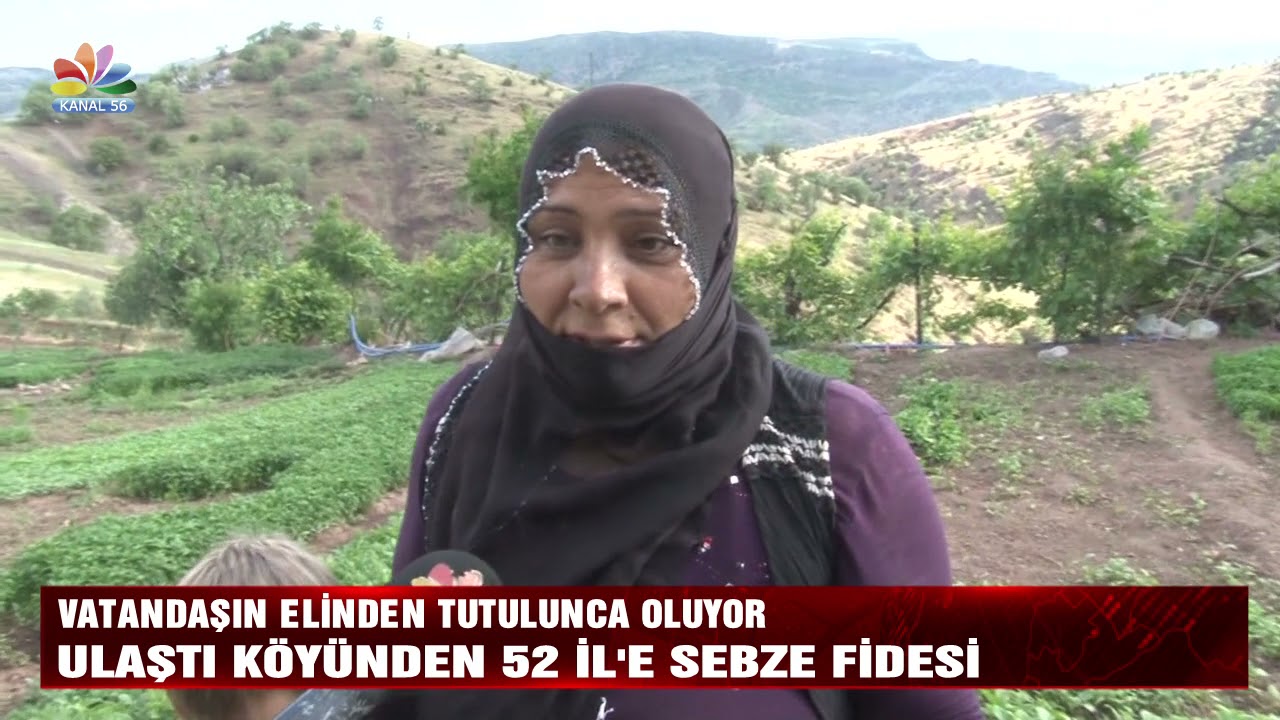 VATANDAŞIN ELİNDEN TUTULUNCA OLUYOR ULAŞTI KÖYÜNDEN 52 İL’E SEBZE FİDESİ