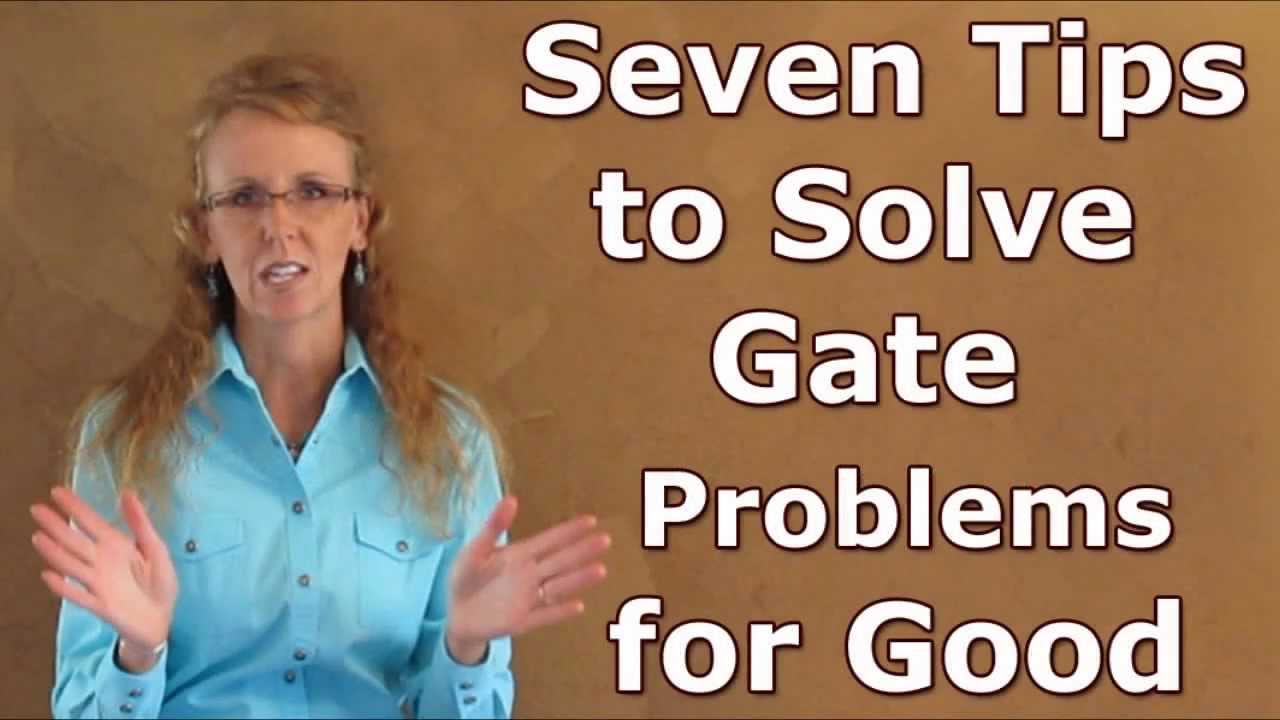 Seven Tips to Solve Barrel Racing Gate Problems and Alley Issues for Good!