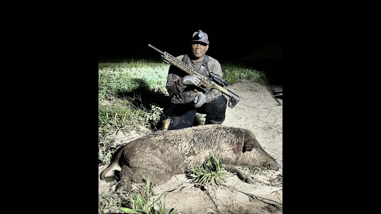 MASSIVE Hog Drop: AR12 Shotgun vs Thermal Hunt INSANE Results!