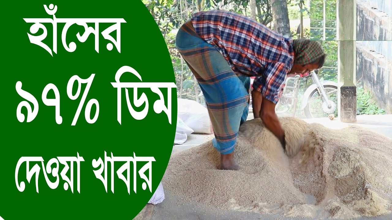 হাঁসের ৯৭% ডিম দেওয়া খাবার যেভাবে বানায় | উদ্যোক্তা | হাসের খাদ্য তৈরী | Uddokta | উদ্যোক্তার সাফল্য