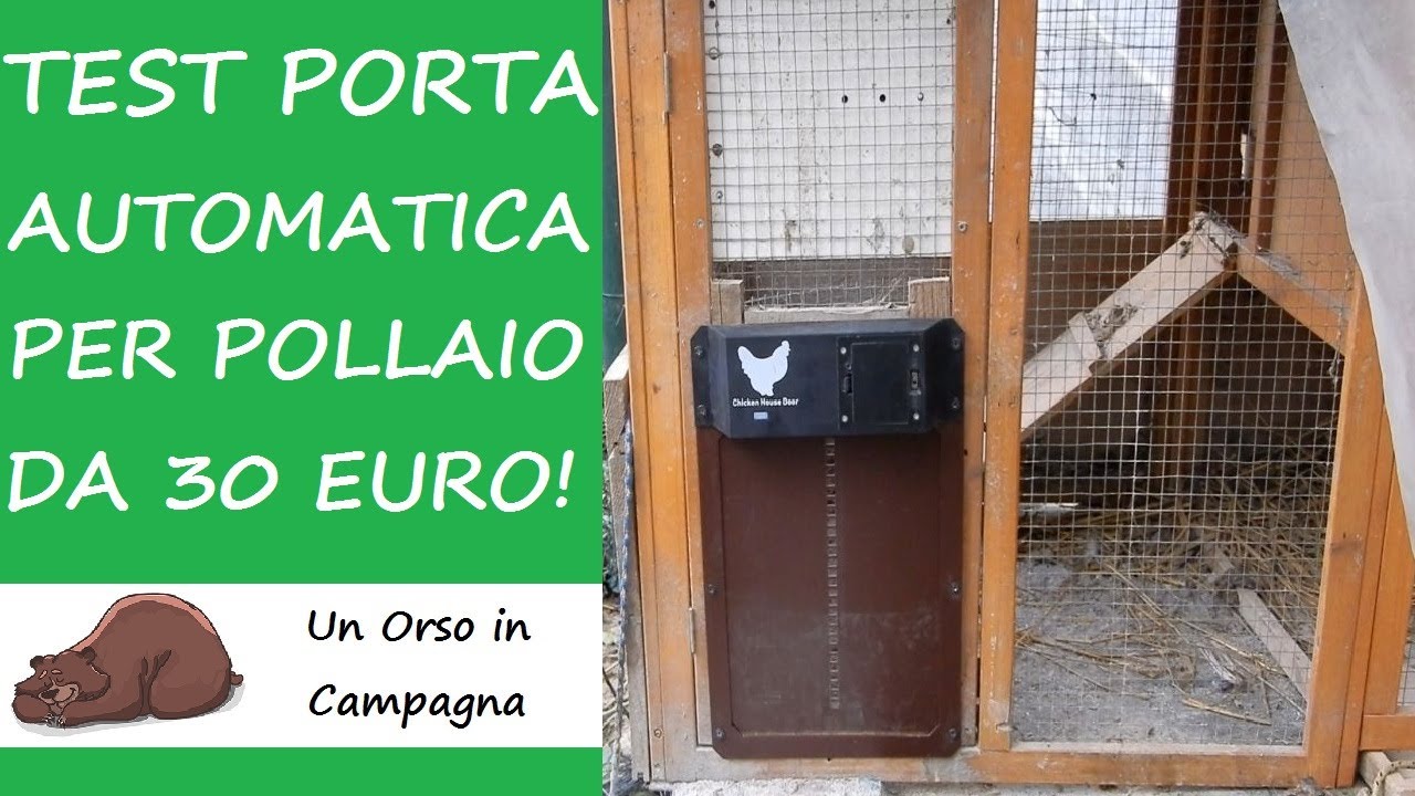 Porta automatica per il pollaio da 30 Euro. Test completo!