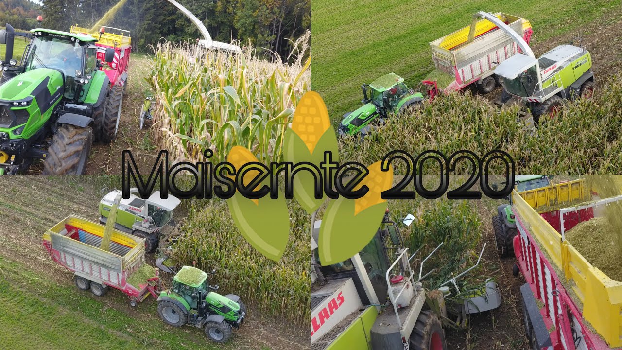 4k-Maisernte 2020|ClaasJaguar|DeutzFahr|Pöttinger