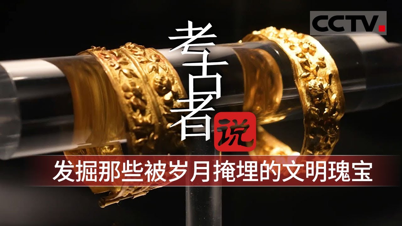 从甲骨文到古人类 揭开&ldquo;考古人&rdquo;的神秘面纱 ！看六位考古学家的人生与千年文明的对话 《考古者说》【CCTV纪录】