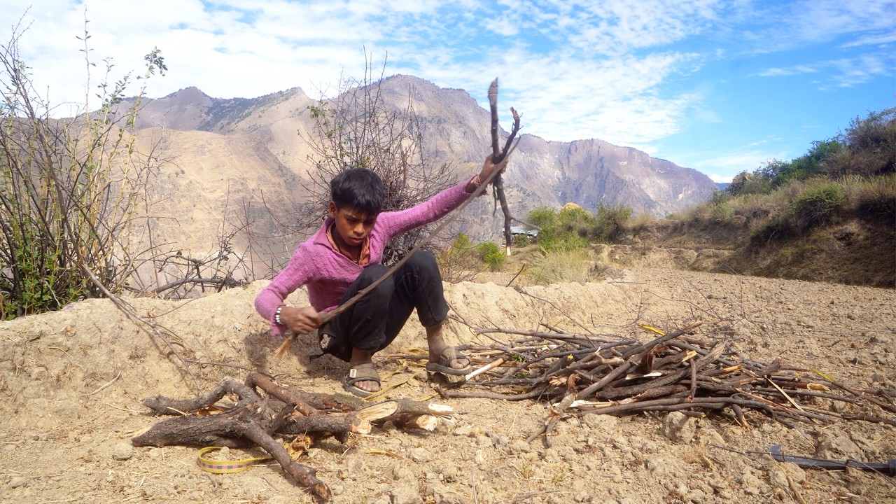 dharme brother's son collecting firewood || rural Nepal || @junglefamily