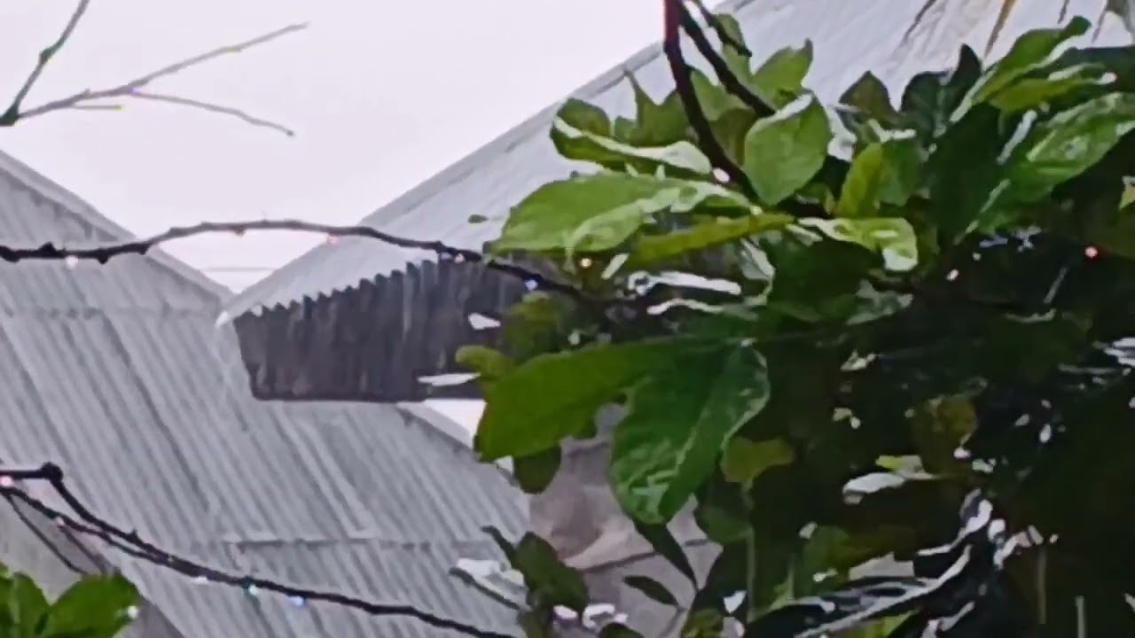 Deep Sleep with Heavy Rainstorm and Thunder Sounds | Rain on Tin Roof
