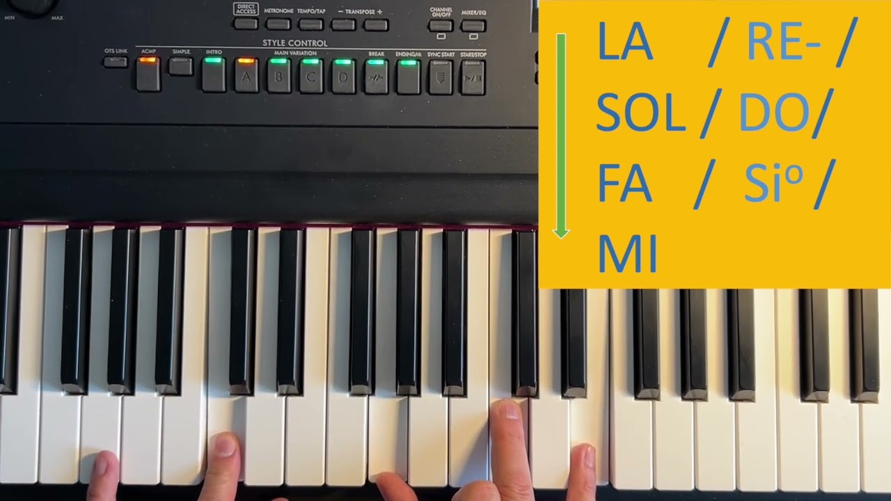 Canci&oacute;n 5. La Tarara