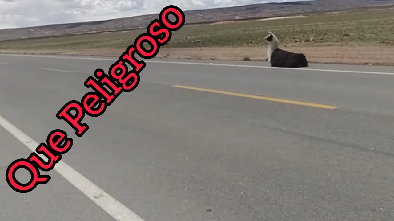 Recorriendo un poco de Bolivia.