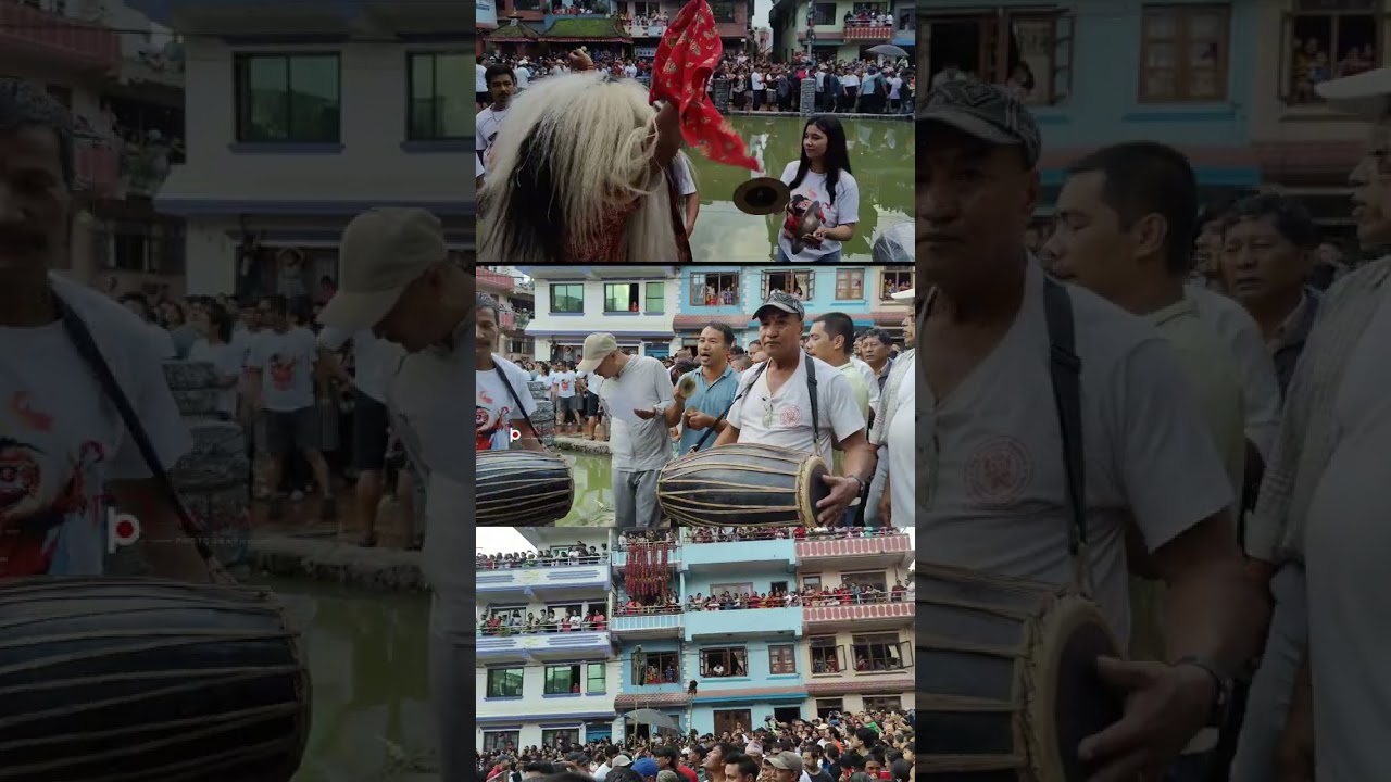 Gaijatra 2081 Kipulcha