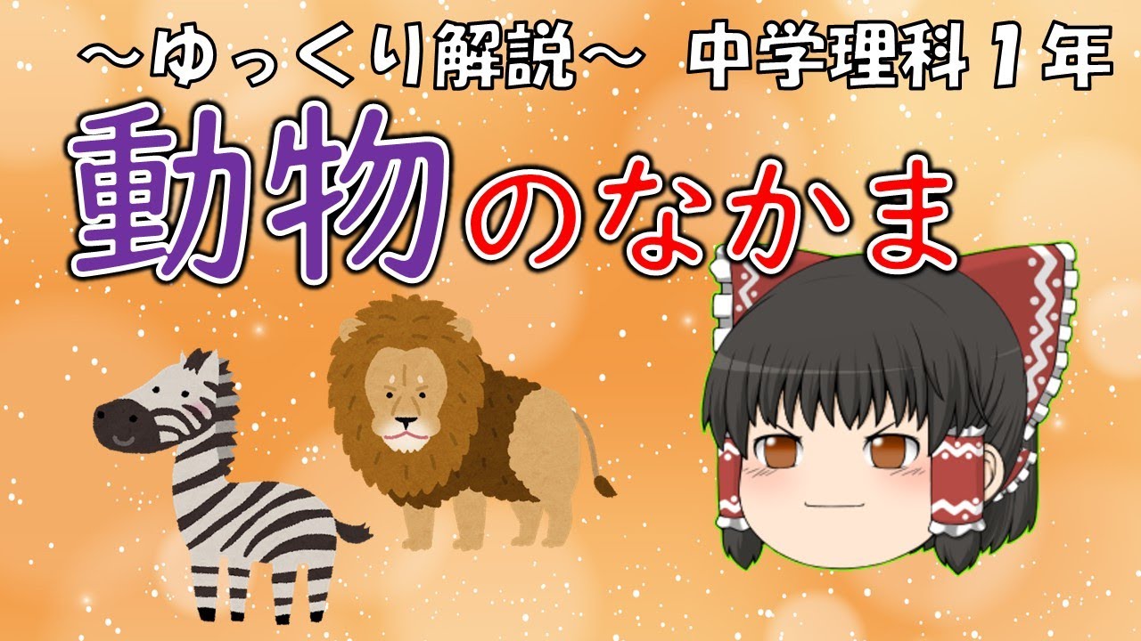 【中1理科】動物のなかま～ゆっくり解説