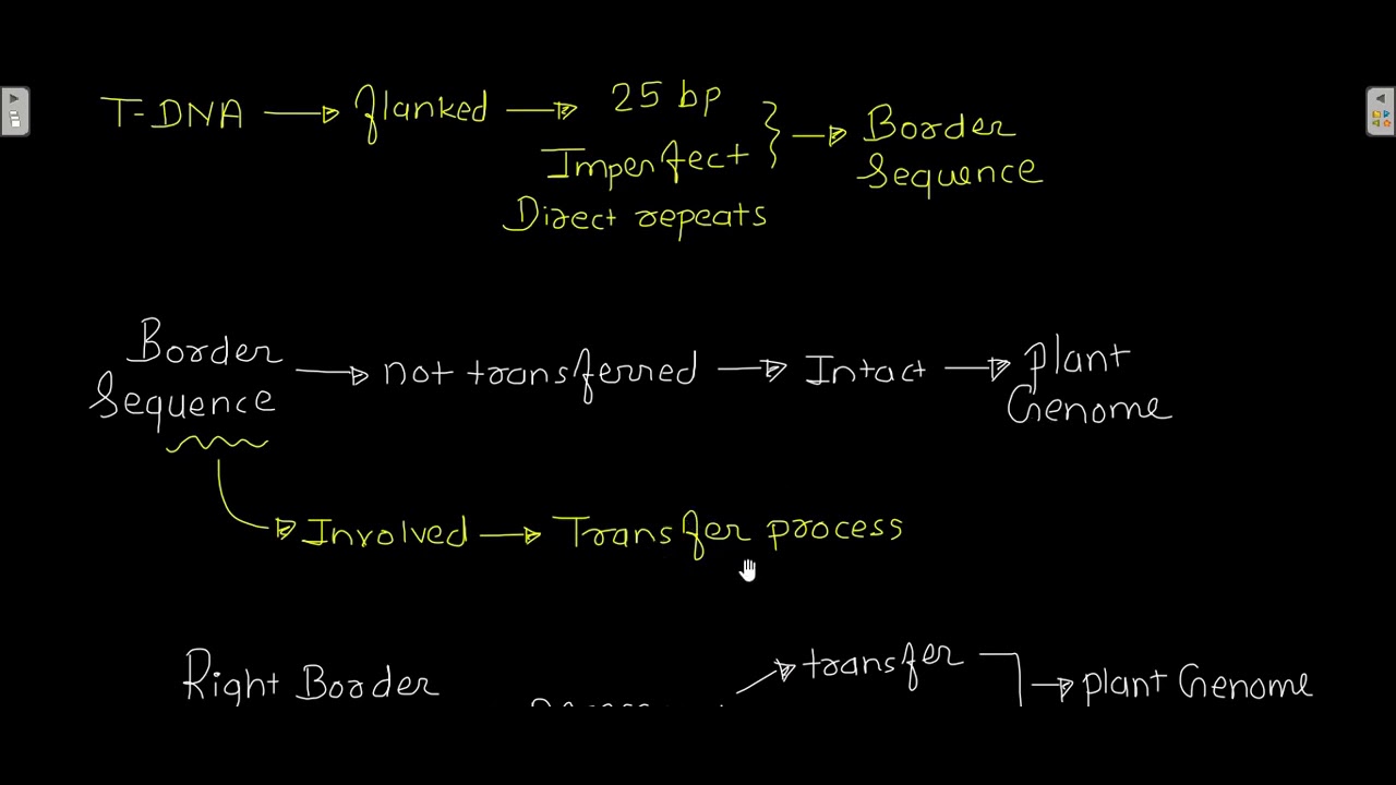 Ti plasmid part 1