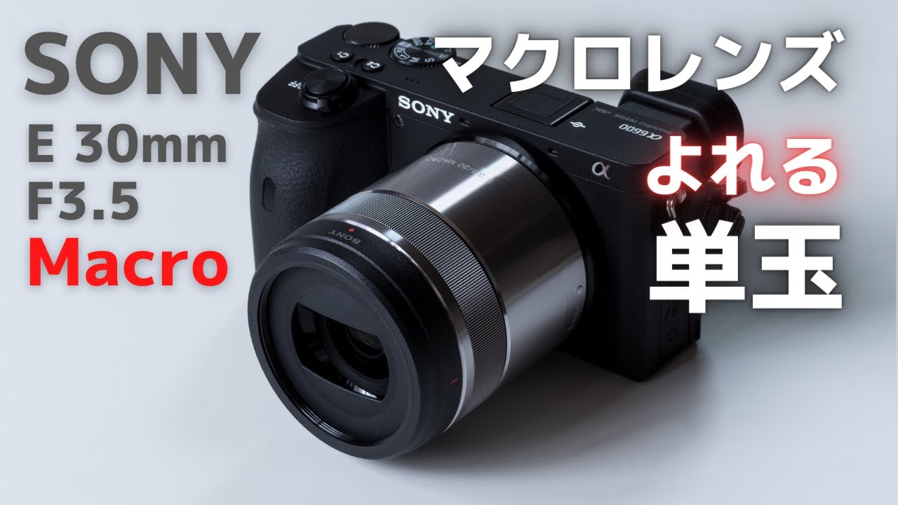 SONY E 30mm F3.5 Macro をスチル目線でレビューします。α6600【 カメラ レンズ 】