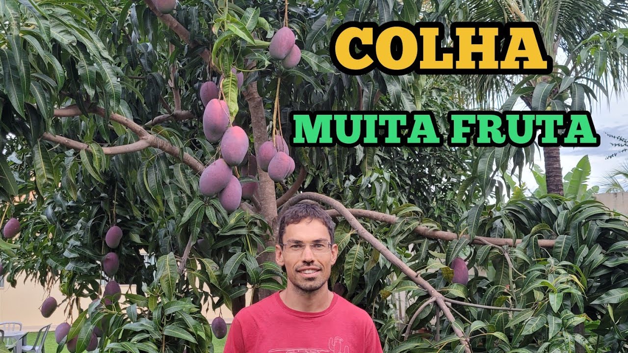 Segredo para colher muito !!!