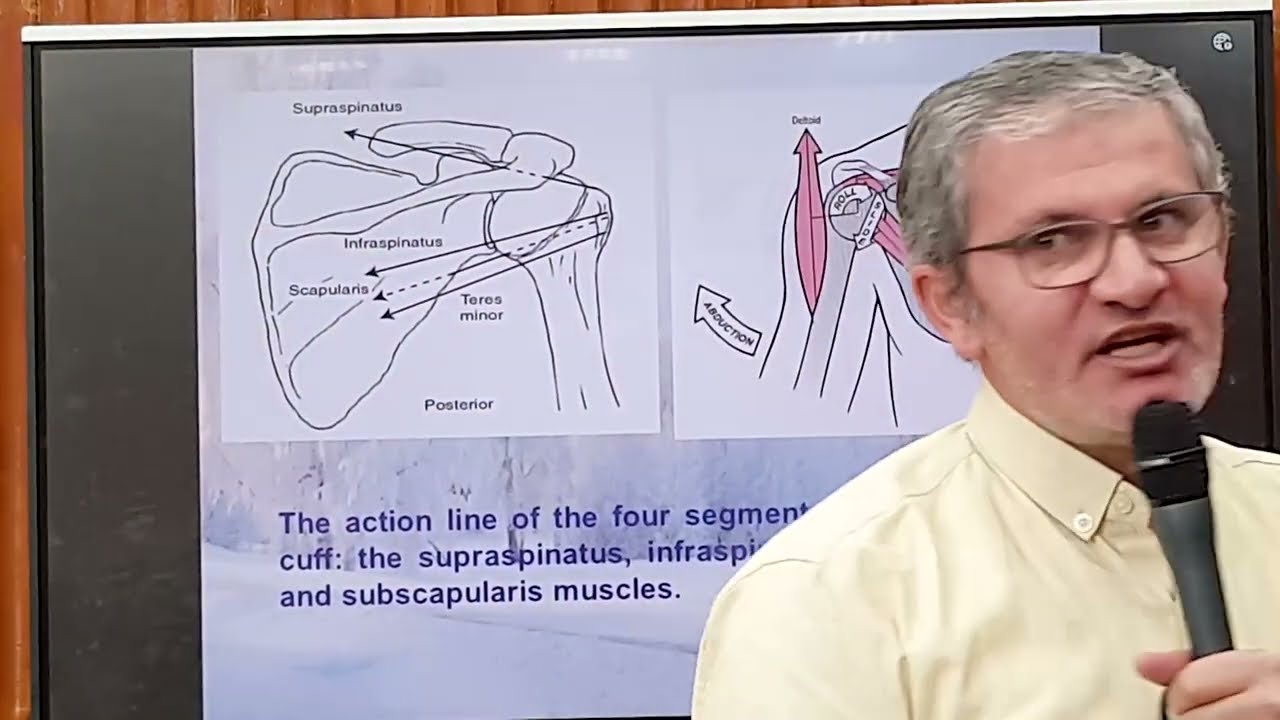 Shoulder Biomechanics Part 3  SHR from Kinematic and Kinetic Point of view SCU 2025