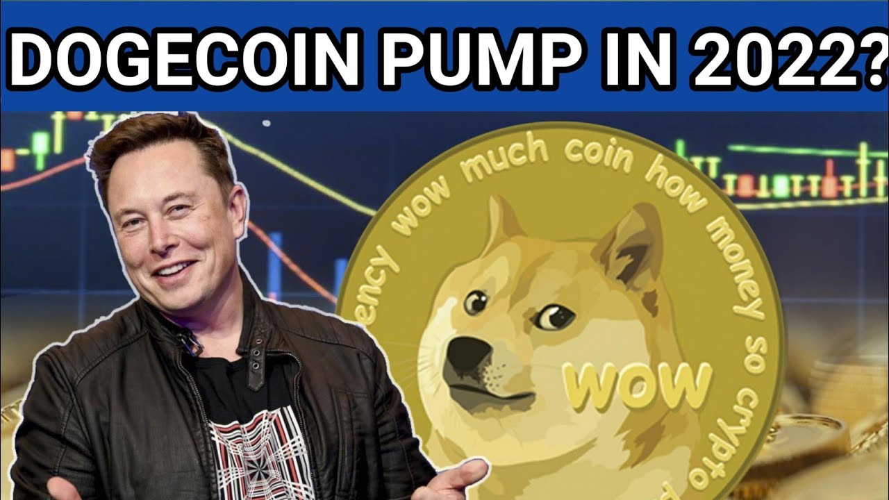 Dogecoin Price Pump In 2022? Dogecoin Price analysis for 2022 and future