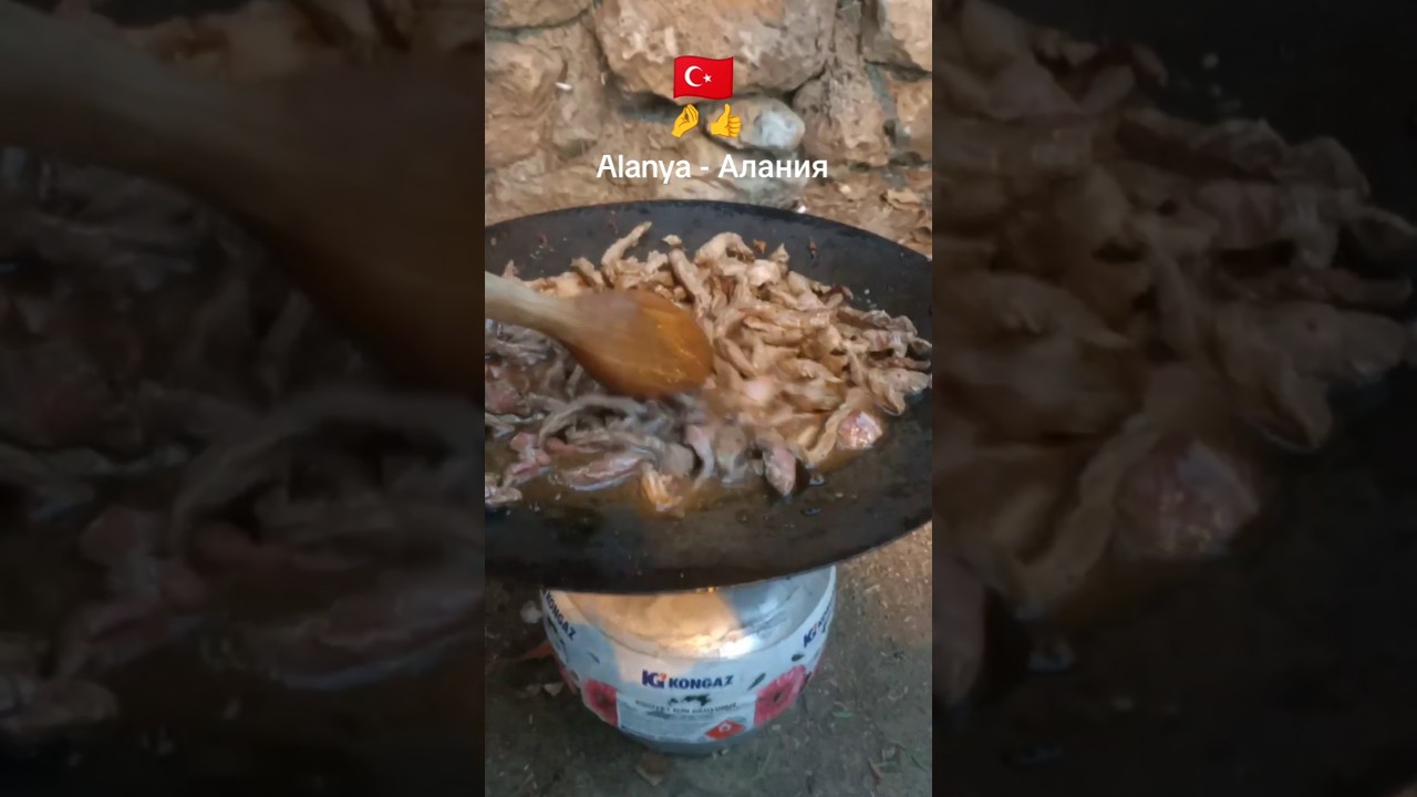#t&uuml;rkiye #alanya #piknik #алания #пикник #турция #keşfet