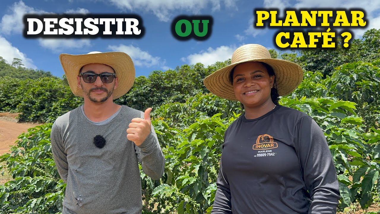 Desistir ou plantar café? A resposta está nesse vídeo