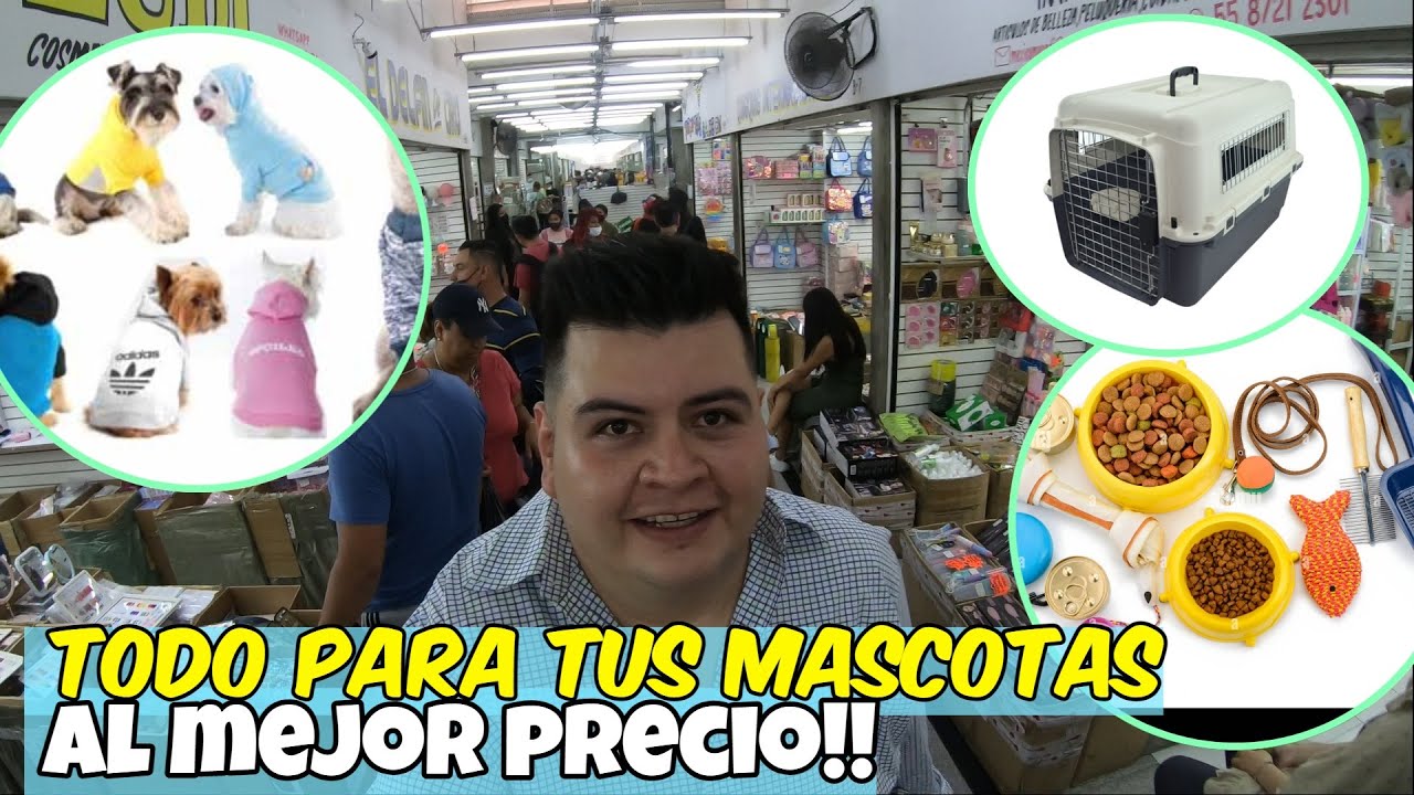 TIENDA NUEVA CHINA de ¡😁🐹 accesorios para MASCOTAS por MAYOREO! 🐱🐶