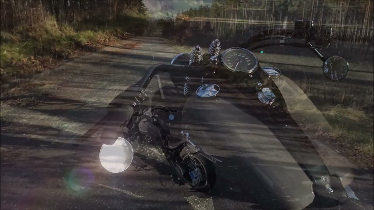 Harley Davidson Slim Bobber Springer Twincam built by Gietl Bikes