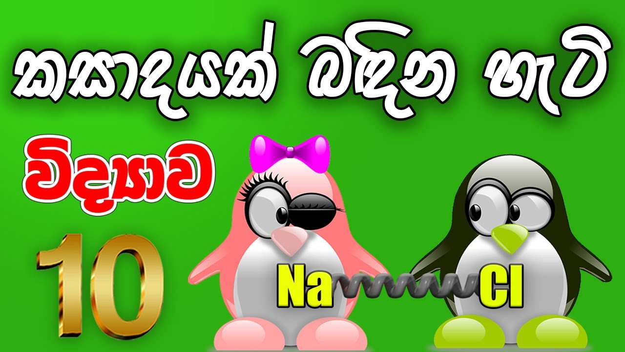 10 ශ්‍රේණිය විද්‍යාව -  රසායනික බන්ධන | Grade 10 Science - Chemical Bonds | Rasayanika Bandana