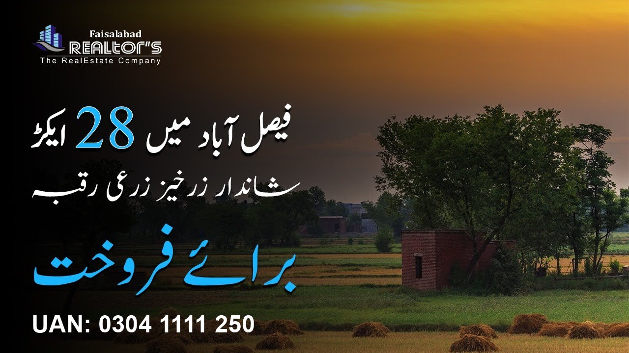 28 acre Agricultural Land For Sale  in Faisalabad | #agriculture  #faisalabad #property