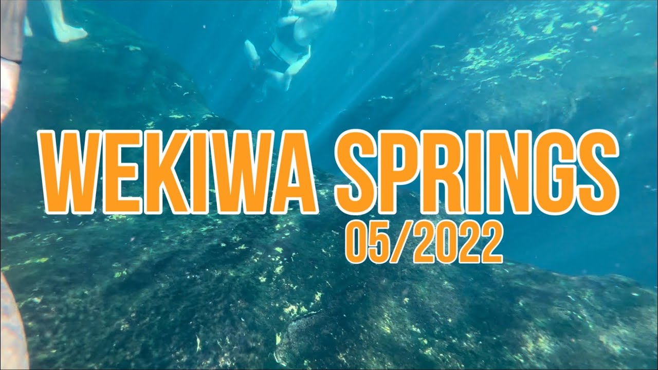 Wekiwa Springs State Park Florida | Swimming & Nature Escape (2022)