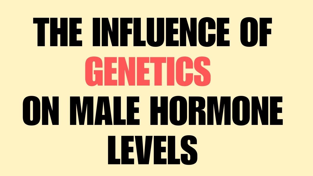 The Influence of Genetics on Male Hormone Levels - Raindrops1.com #testosterone #malehealth