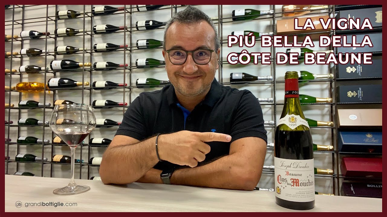 La vigna più bella della Cote de Beaune