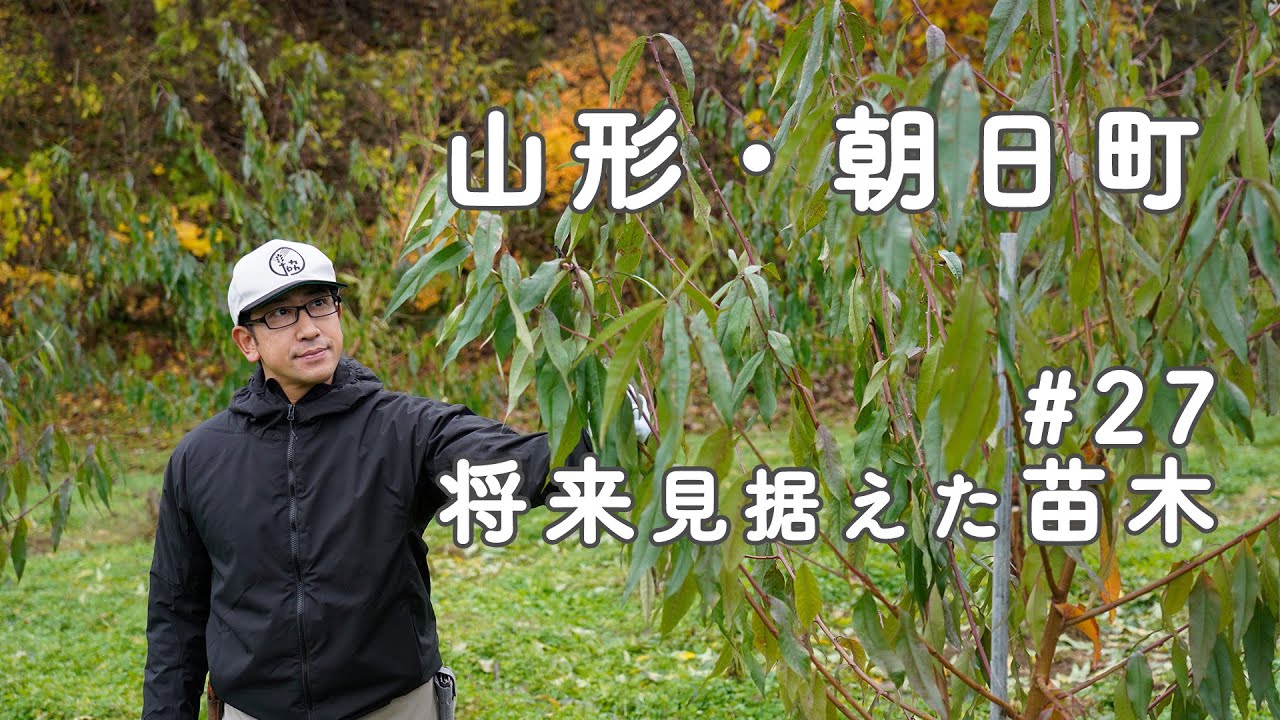 【山形県朝日町】生産者紹介#27　「将来を見据えた苗木」