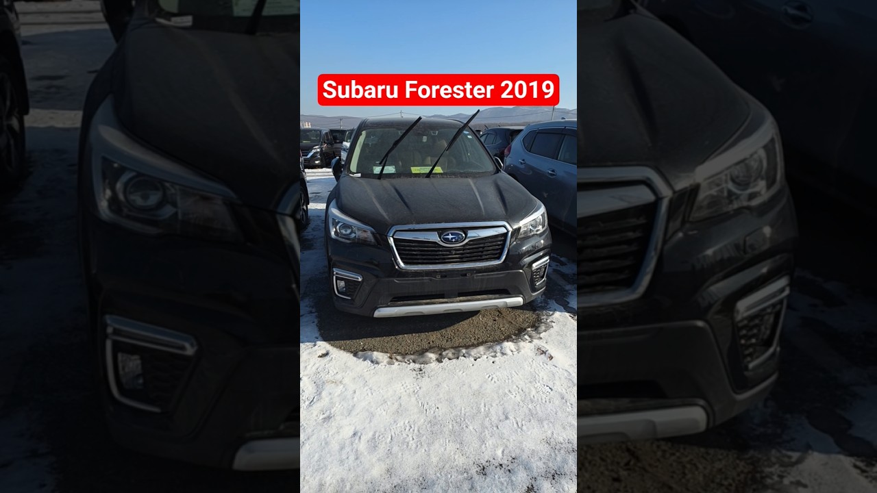 Subaru Forester 2019 на авторынке во Владивостоке