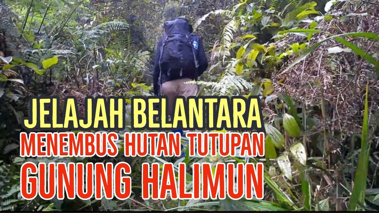 GUNUNG HALIMUN - Bermalam dengan bivak di dekat Curug tersembunyi