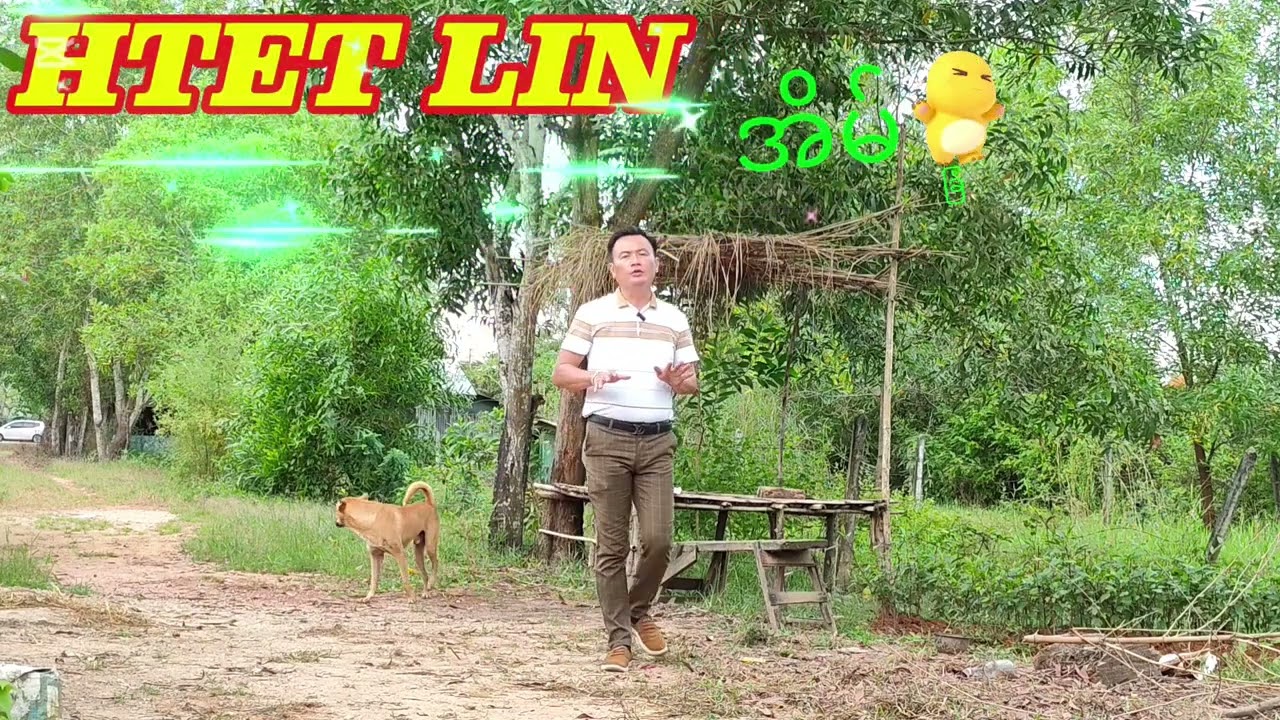 ပေ 40x60 ခြံ သိန်း 300 ညှိနှိုင်း အရောင်း