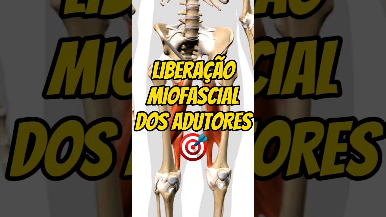 A MELHOR LIBERAÇÃO PARA DOR LOMBAR! LIBERAÇÃO MIOFASCIAL DOS ADUTORES